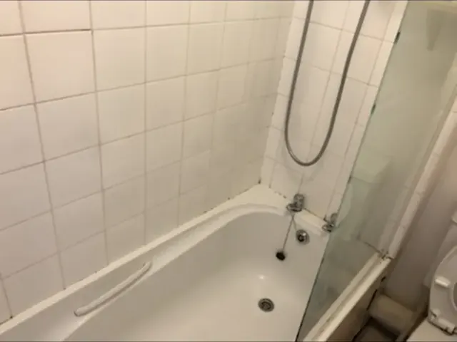 Bath tiles and grout after professional cleaning