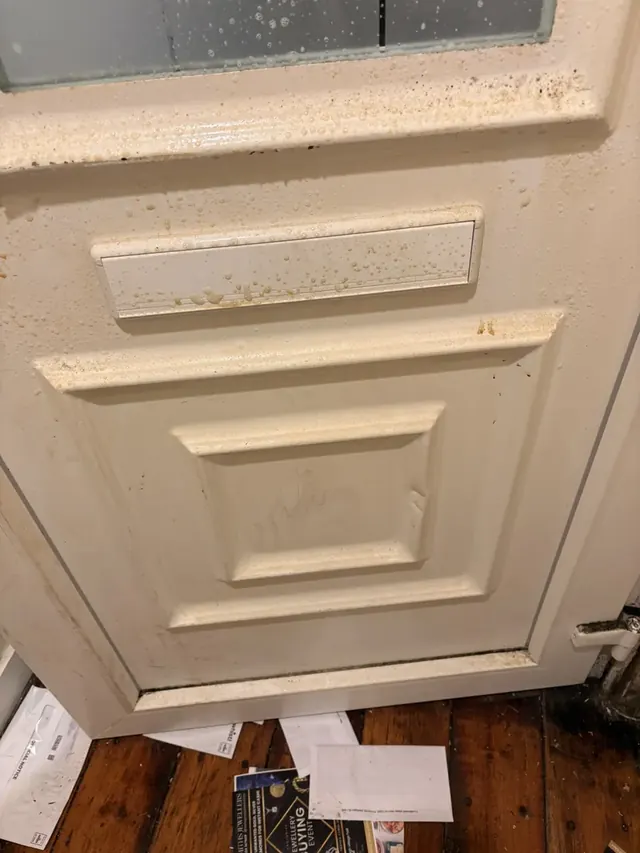 Panelled door before professional cleaning