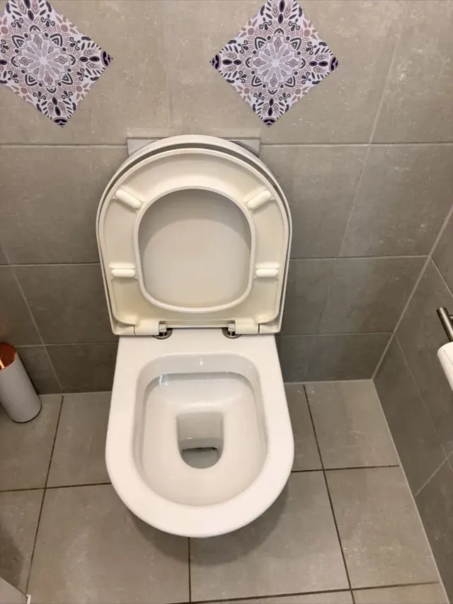Toilet limescale after professional cleaning